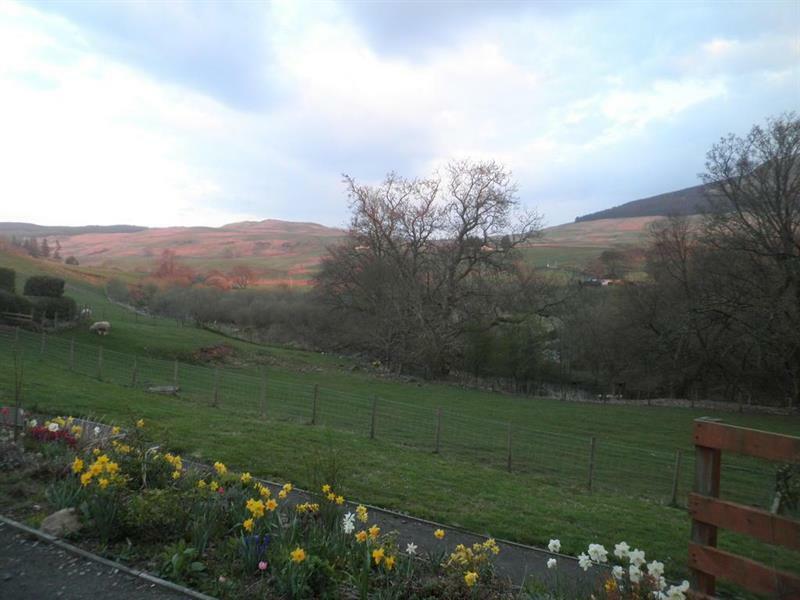 Rockfoot B&B Fintry Εξωτερικό φωτογραφία